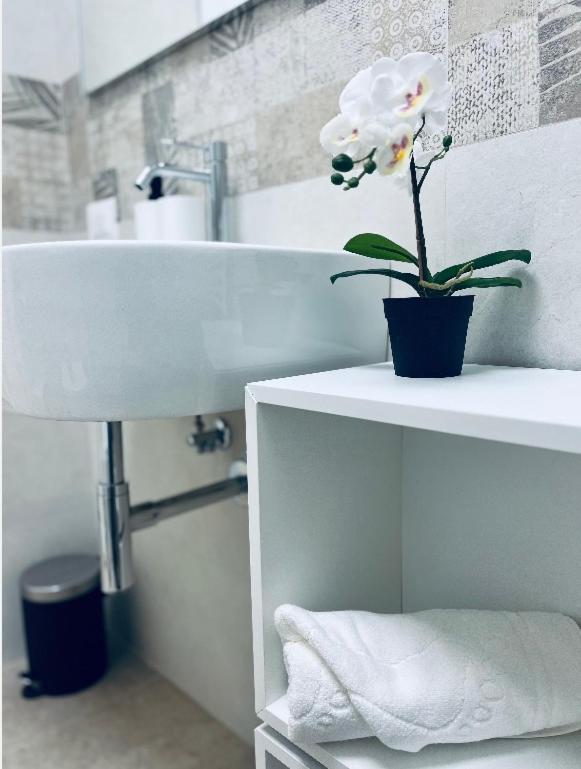 Alkece White Apartment อูดิเน ภายนอก รูปภาพ
